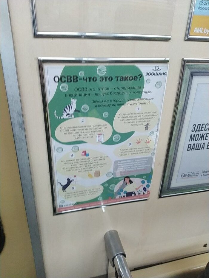 Фото из метро