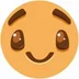 user11145244