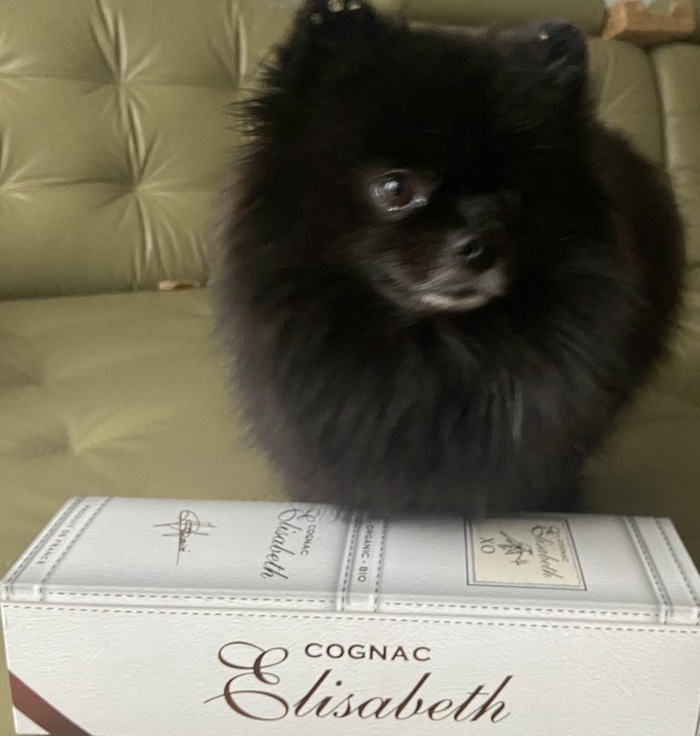 � ������� ���� ���������� ������������ (� ��� ��� ������� � �������/���������� �����������)