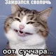������ ������������ shwoloch