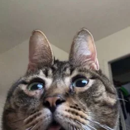 DeKRuS