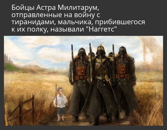 �� ���� ����