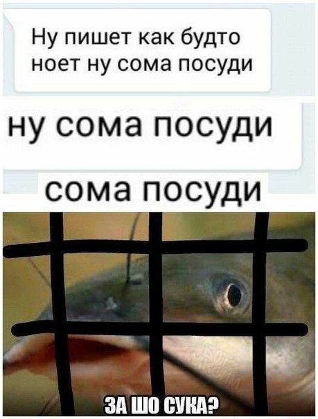 ����� �� ���� ���������