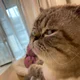 Аватар пользователя mlsnn1984