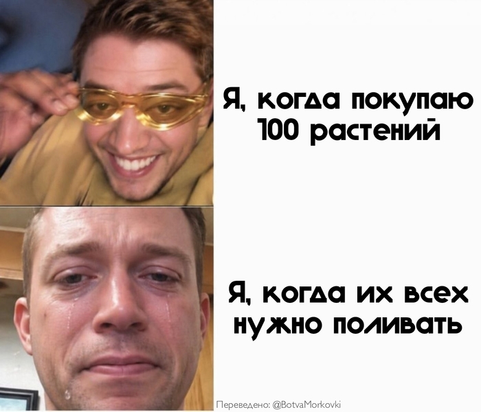 ���� ������ -- ��� ������