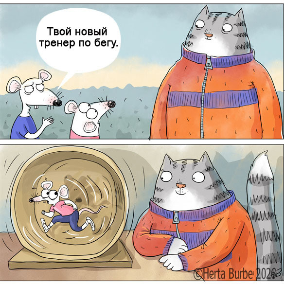 ����, ����, ����!