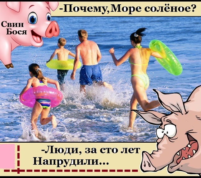 ����...