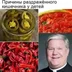 Alantorr