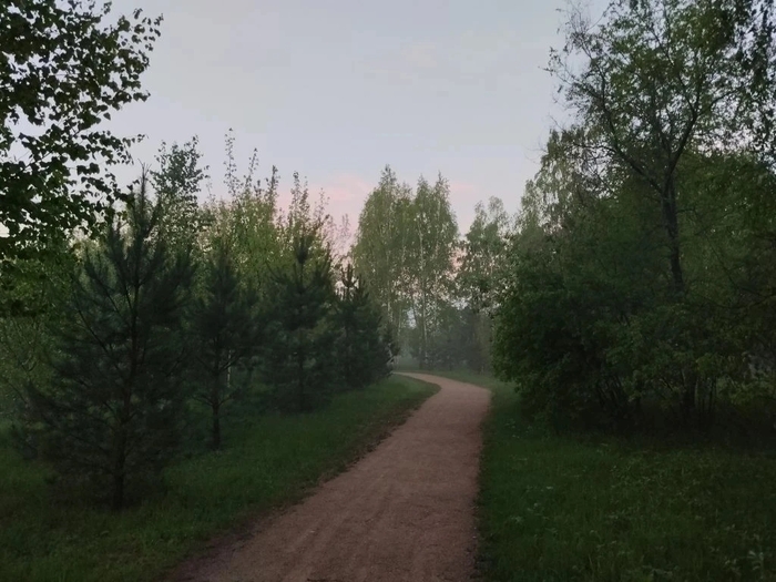������� ����