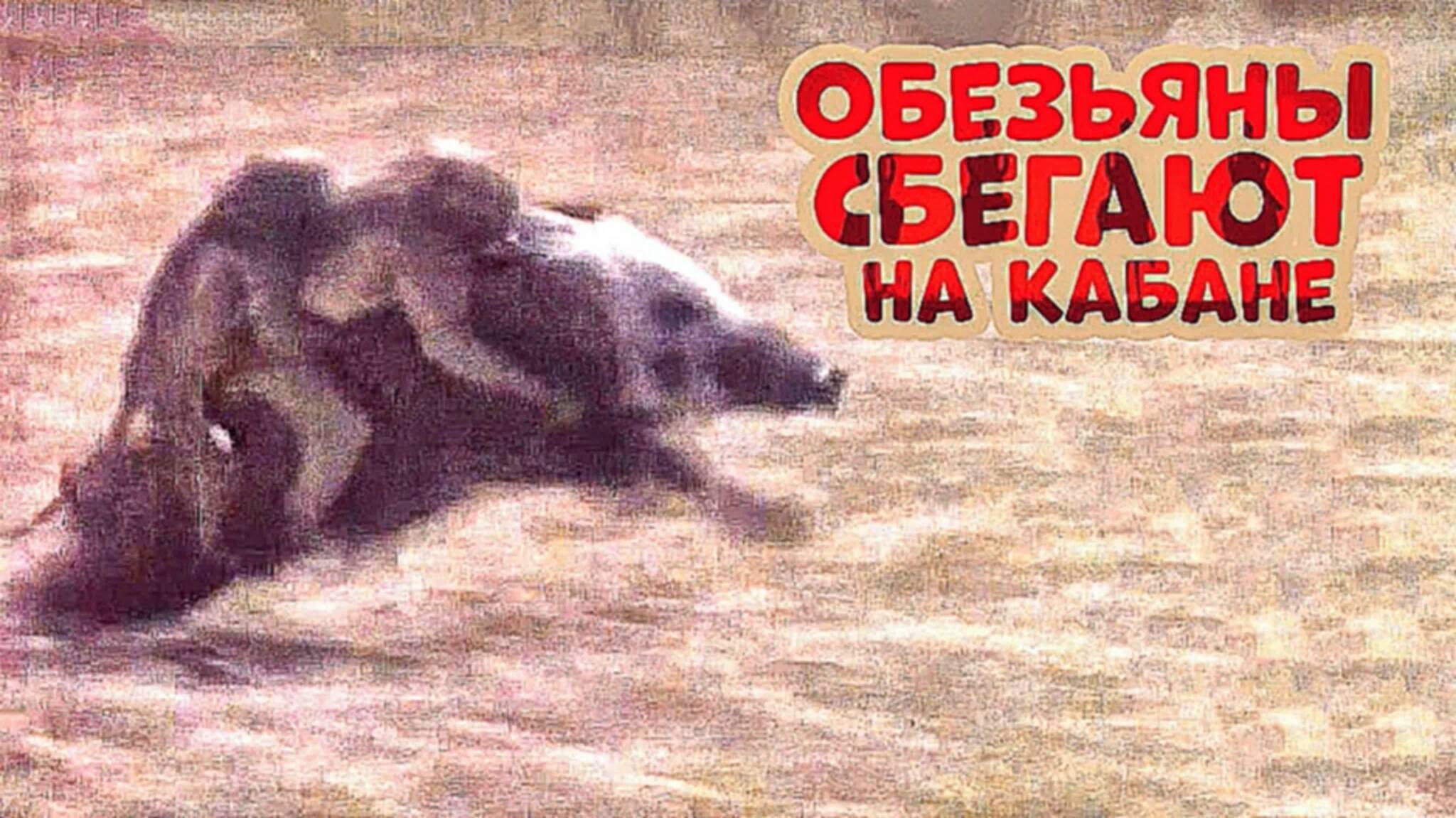 ������������