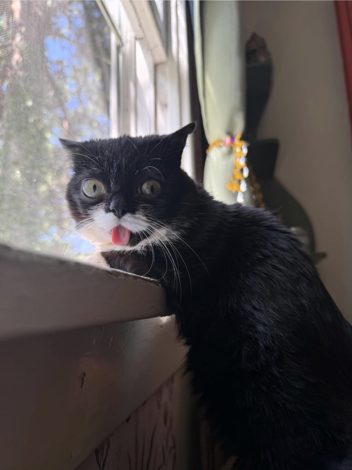��� ���