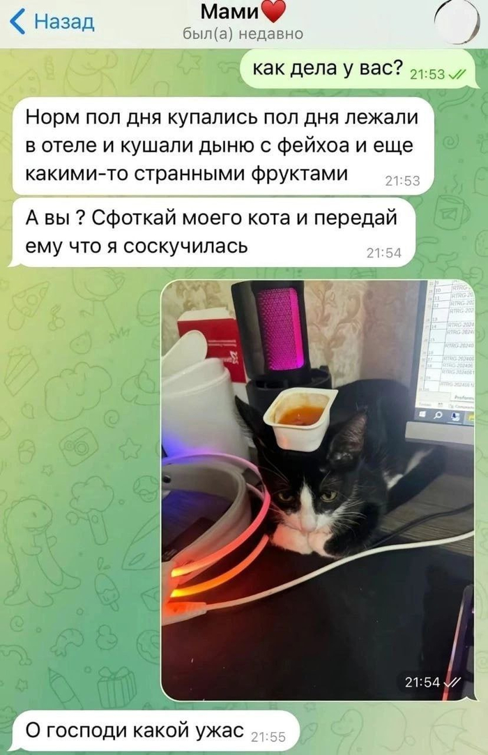 ��������� � �����