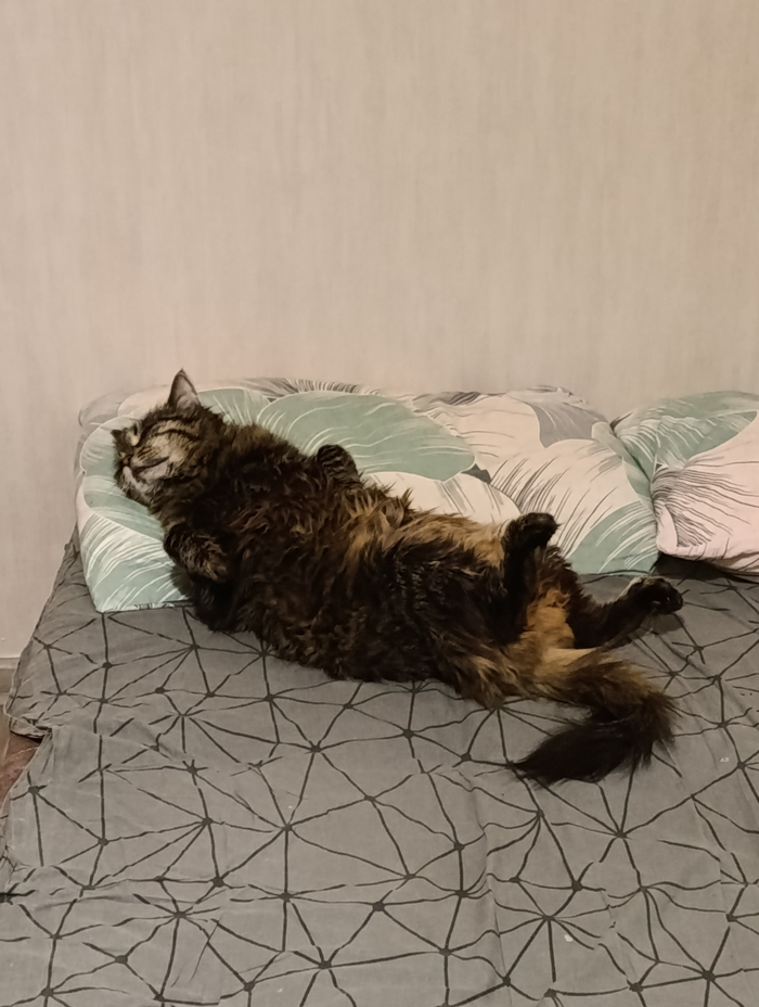 Моя прелесть 😋