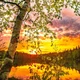 Аватар пользователя ElysiumTeney