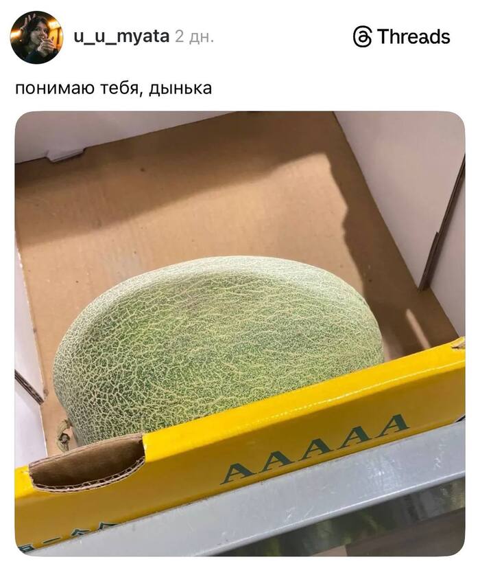 ����������� ������ ���� ���� ��������