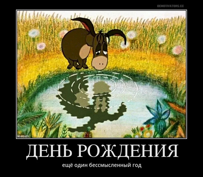 Про 500 эскимо...