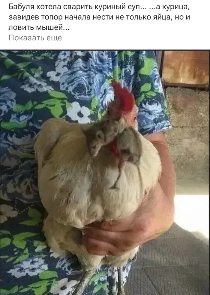 ���� ��������,� ��������� �� ������ �������...