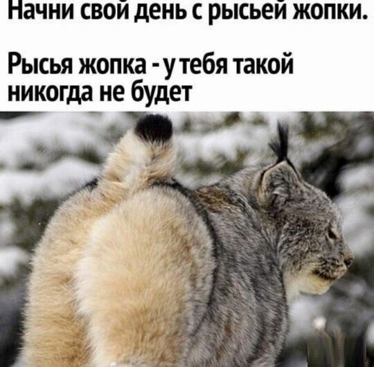 ���������� ������� �� ���� ��� ������� �������...