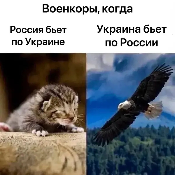 �� �� �������� � ����� 10 ����������� �������� ����������