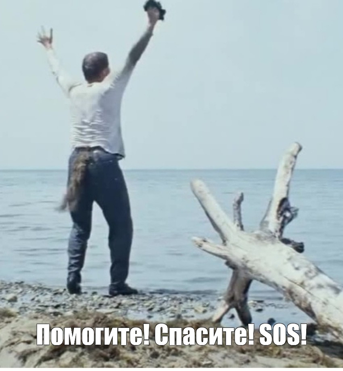 Что такое «свиноговядить»?