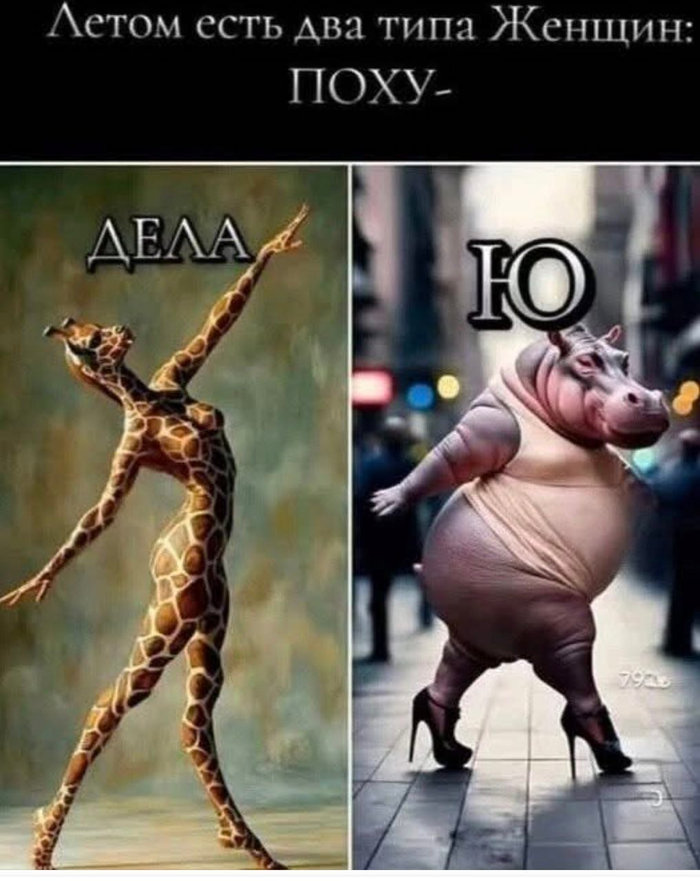 ���� �������...