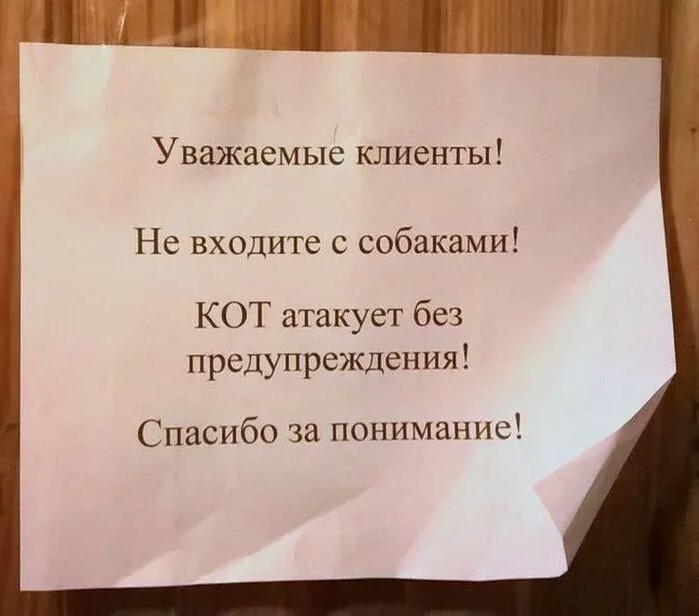 �������������, ����� �� ����)))
