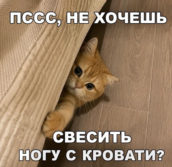 � ������ ������!!!