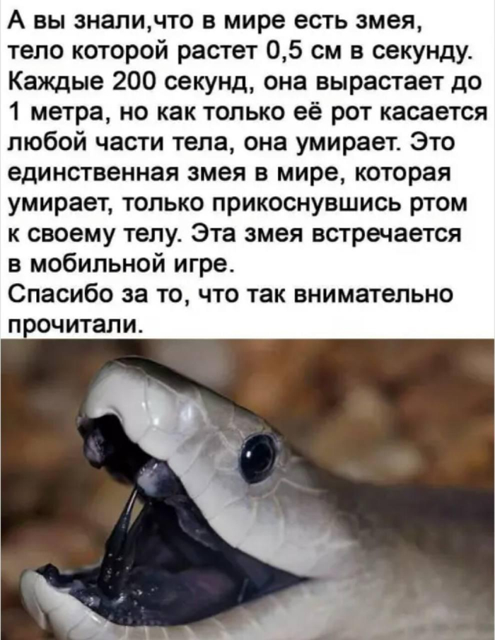 ��������� /b