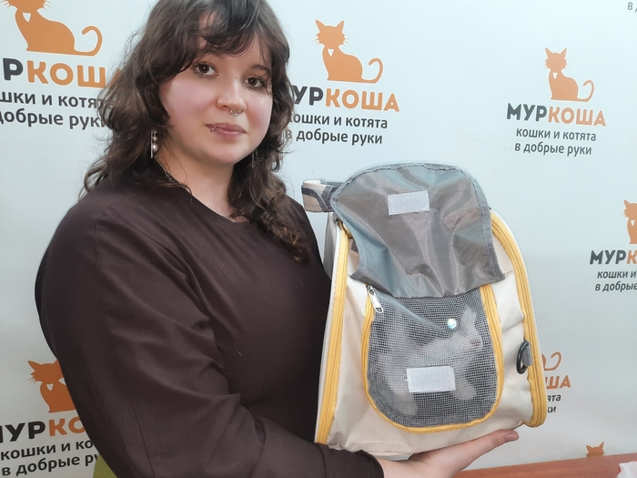 Кошка Бугивуги уехала из приюта домой 1 июня 2026 года