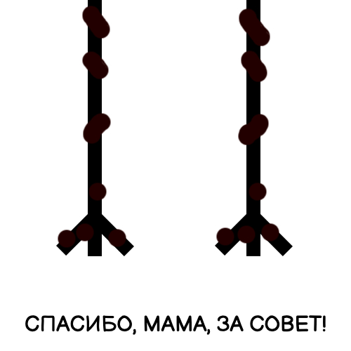������ ��� ������ � �����