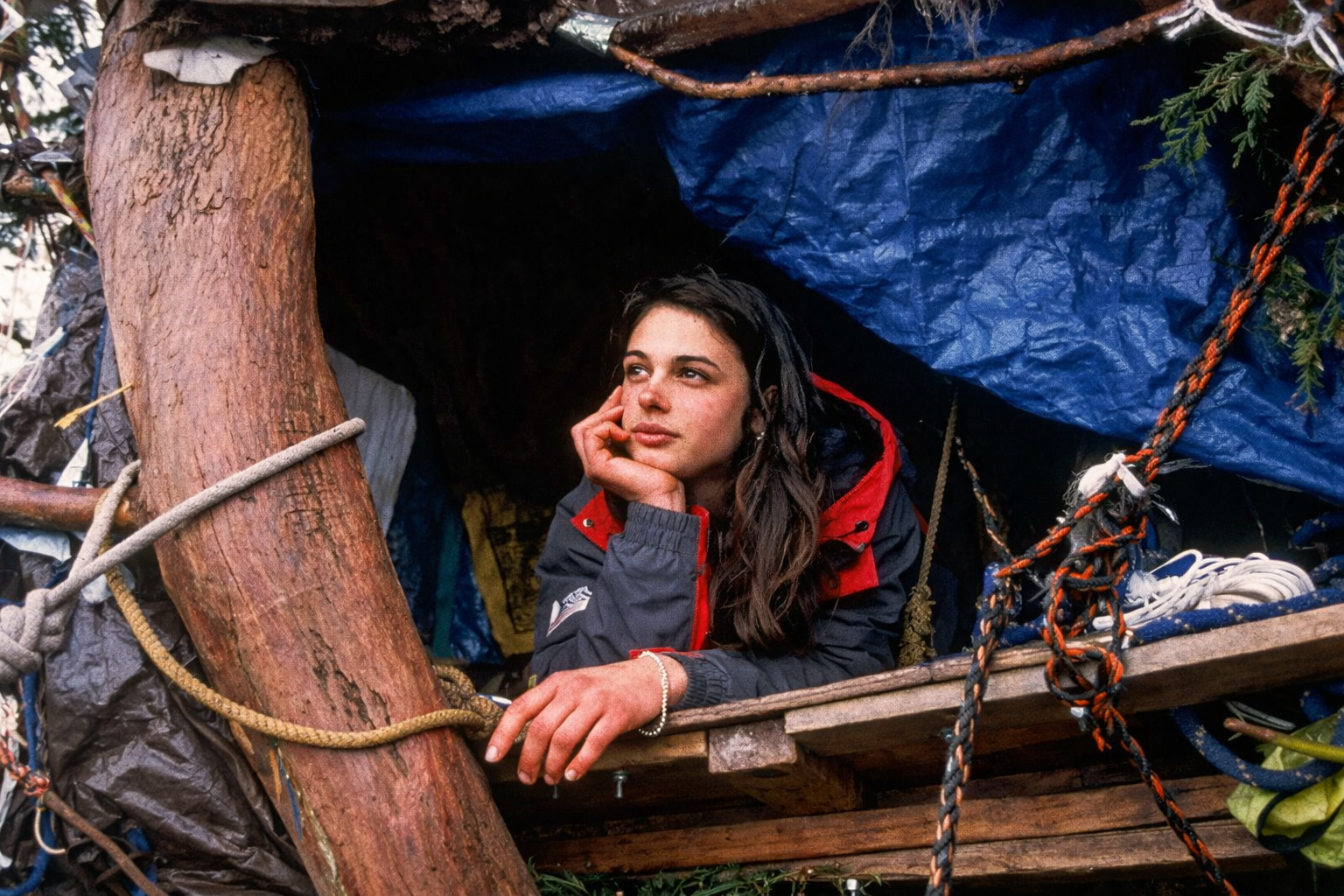 After the accident, she decided to save the tree and stayed on it for 738 days, despite threats from loggers to kill her. - My, Courage, The rescue, Forest, Sequoia, Girls, Courage, Video, Rutube, Longpost