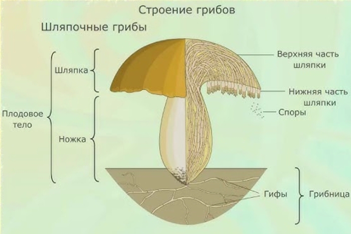 ������ �������� ���������� ����� ��� ������� ��������� ������������