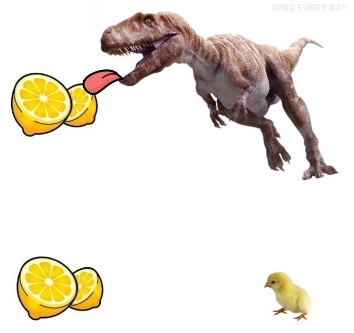 DED