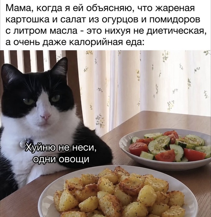 �� ����� ����