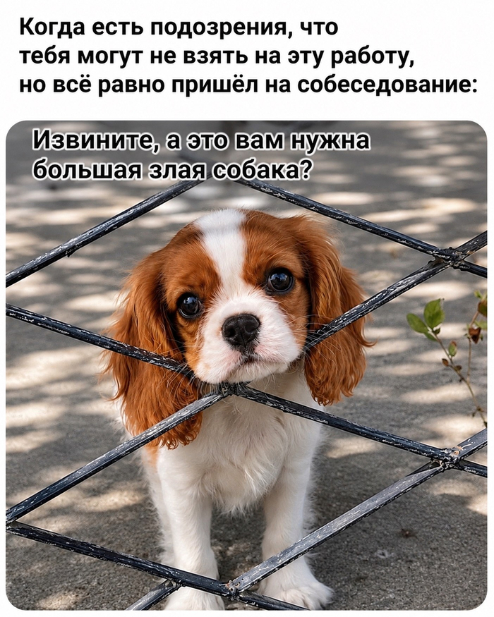 ������� ?