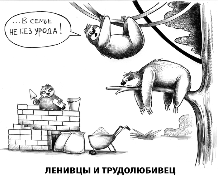 Без названия
