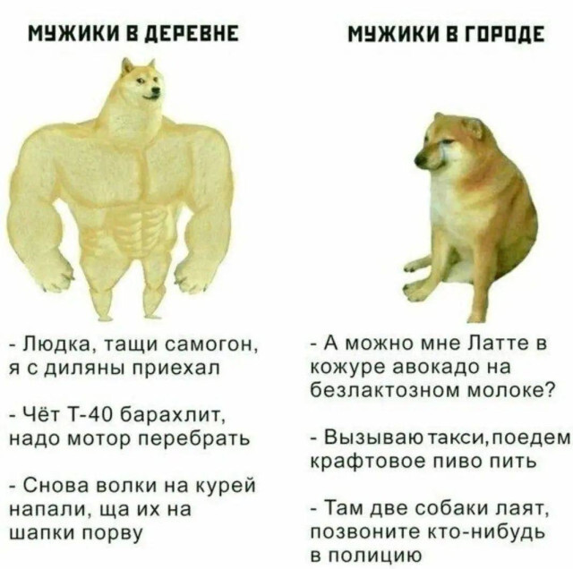 Ответ на пост «Городской vs Деревенский»