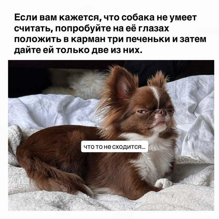 ����� �� ������ �������?