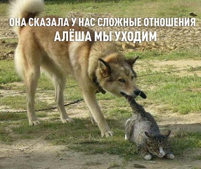 �� ������ ������ �����������