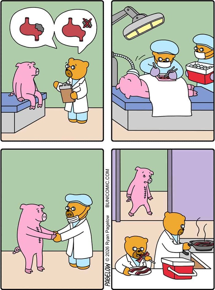 ������ �����