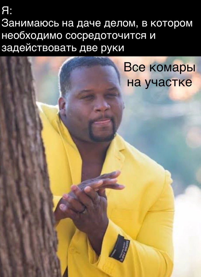Эти сволочи умеют ждать