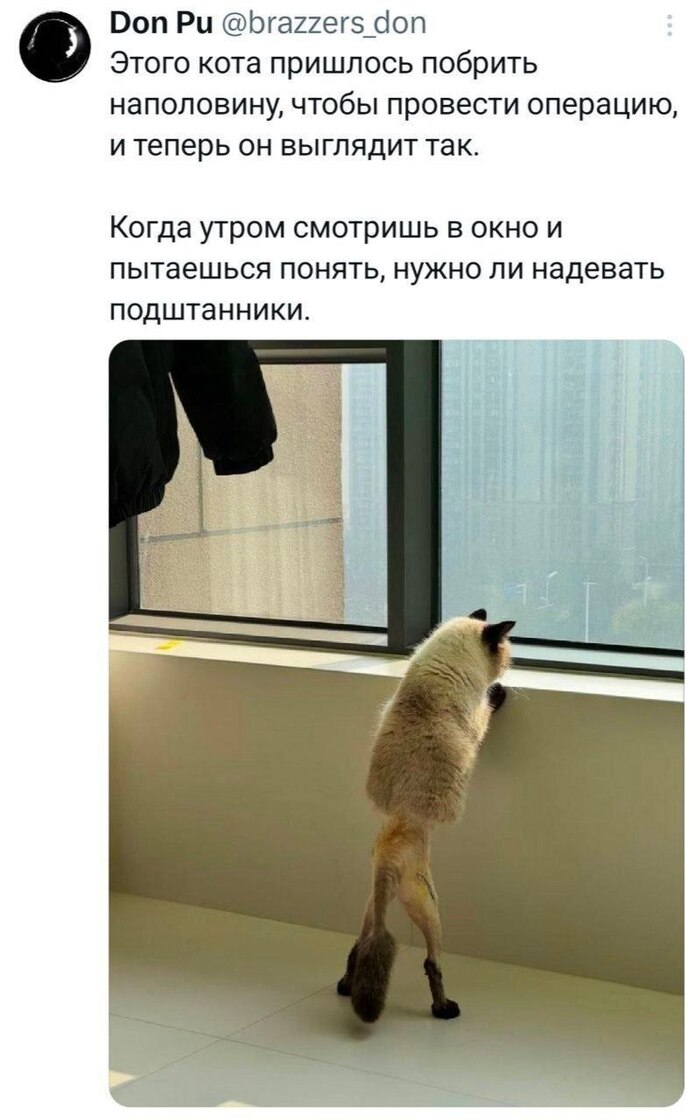 �� �� � ���� ������������, ��� ��� ���������� �����