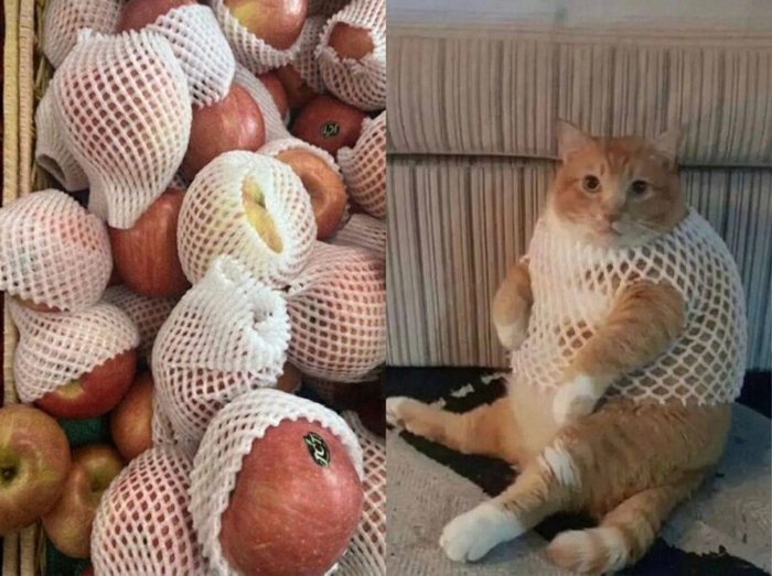 Яблоко созрело