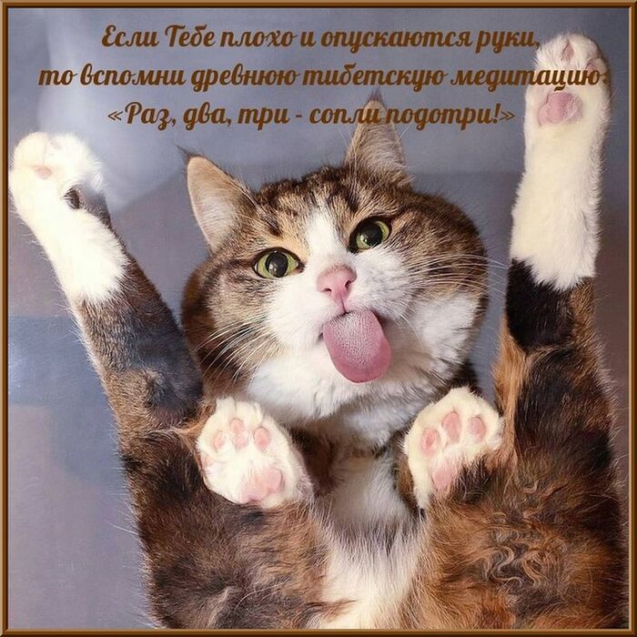 �����, ������� �� ��������))))
