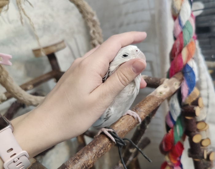 Кайфует
