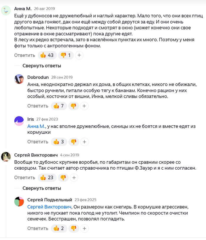 <!--noindex--><a href="https://pikabu.ru/story/raz_na_raz_korotkiy_boy_vorobya_protiv_dubonosa_14049621?u=https%3A%2F%2Fdzen.ru%2Fa%2FXWKmvz0AiACtYvCk%3Fysclid%3Dmq7okzmxgo759773714&t=https%3A%2F%2Fdzen.ru%2Fa%2FXWKmvz0AiACtYvCk%3Fysclid%3Dmq7okzmxgo75977371...&h=192129223070e5e526735aa2efb5a2a4d9fd77b6" title="https://dzen.ru/a/XWKmvz0AiACtYvCk?ysclid=mq7okzmxgo759773714" target="_blank" rel="nofollow noopener">https://dzen.ru/a/XWKmvz0AiACtYvCk?ysclid=mq7okzmxgo75977371...</a><!--/noindex-->
