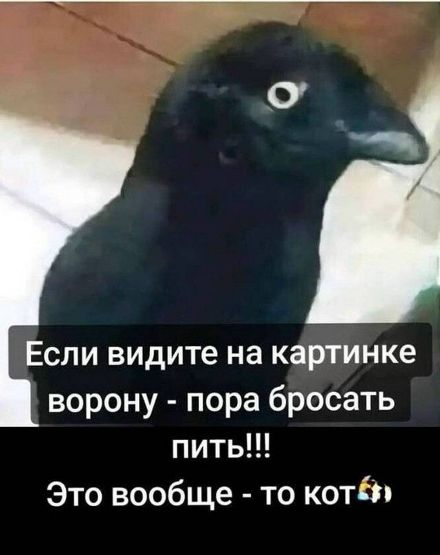 ����� �� ���� �� �� ����?�