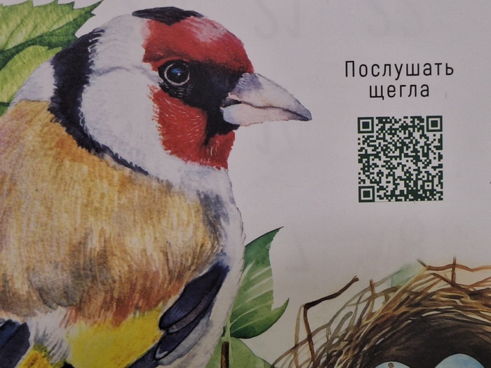 Когда кто-то начинает тебя учить