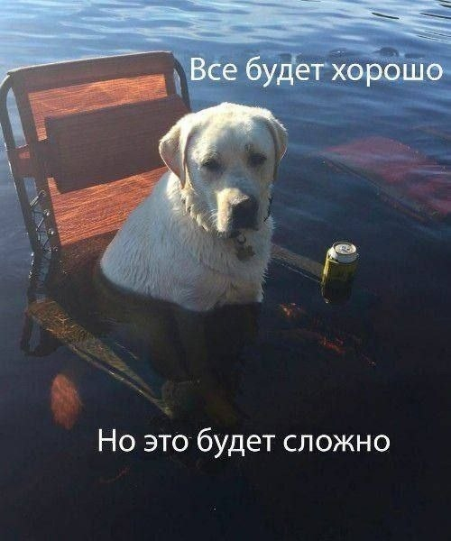 �� ����� ������, ���� ������ �� ����� �����