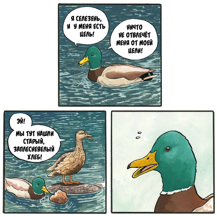 ������� ������